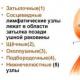 Inflammation i lymfkörtlarna under käken, det är också submandibulär lymfadenit: orsaker, symtom och behandlingsmetoder