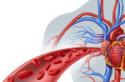 Vad är pneumofibros: orsaker till diffus och hilar pleuropneumofibros i lungorna, diagnos och behandling